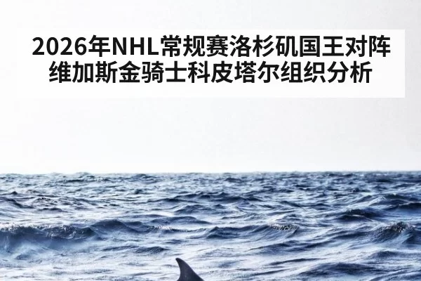 2026年NHL常规赛洛杉矶国王对阵维加斯金骑士科皮塔尔组织分析